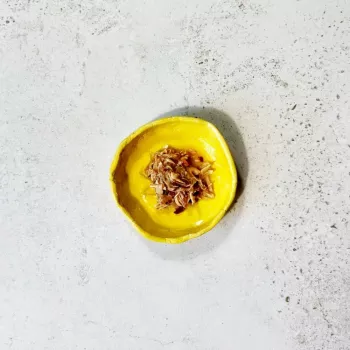 Ollo Atum & Frango com Camarão em Caldo Nº 3 70g