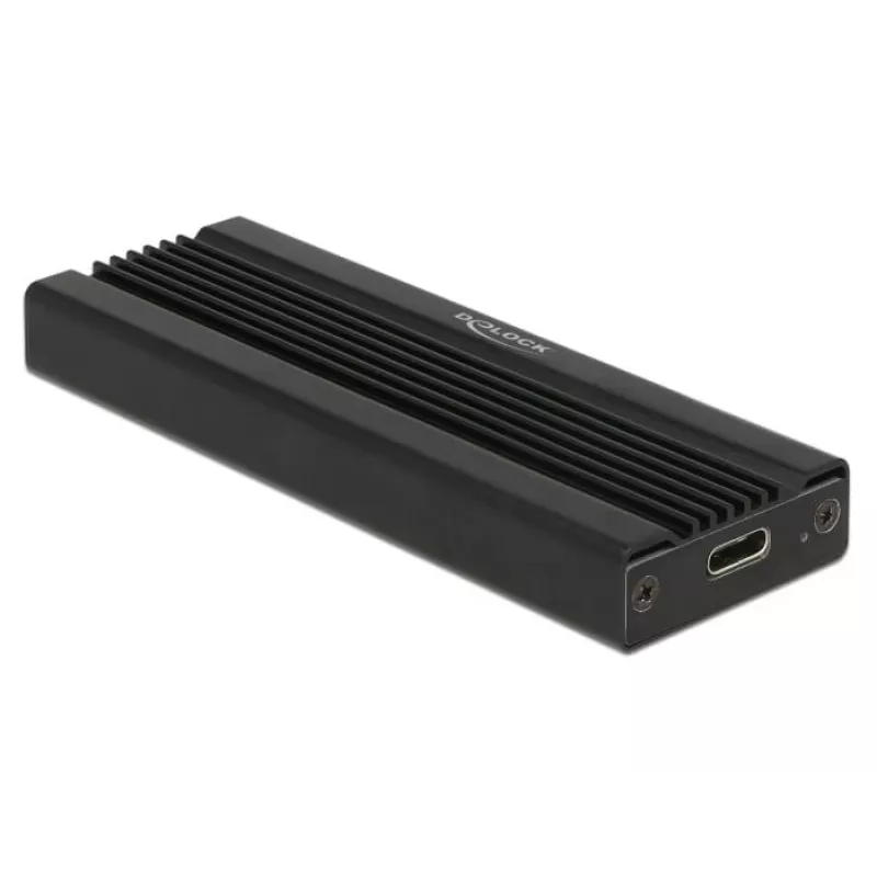 Placa de interface DeLOCK 42600 USB 3.2 Gen 1