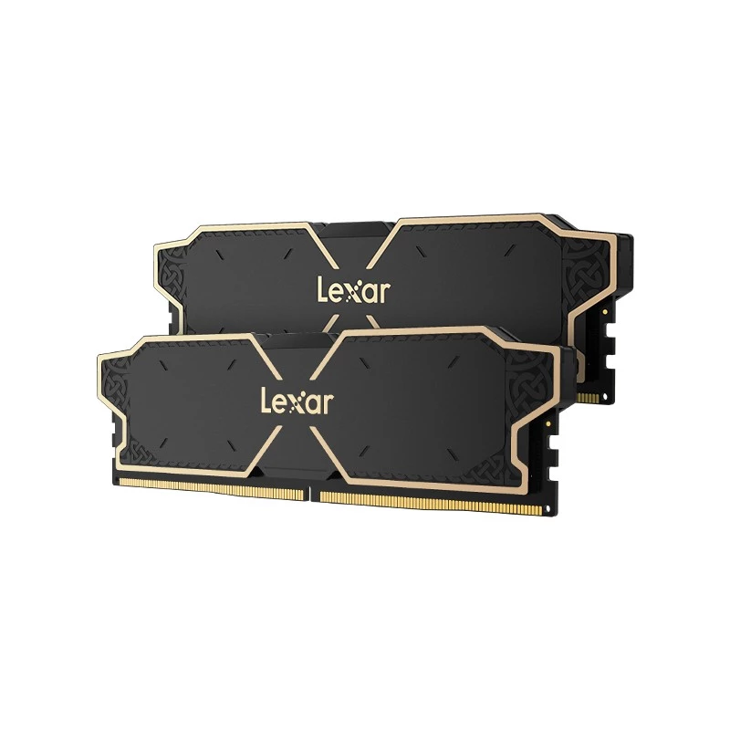 Módulo de memória Lexar LD5U08G60C38LG-RGD
