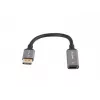 Adaptador de cabo de vídeo Lanberg AD-DP-HD-04 0,2 m DisplayPort HDMI
