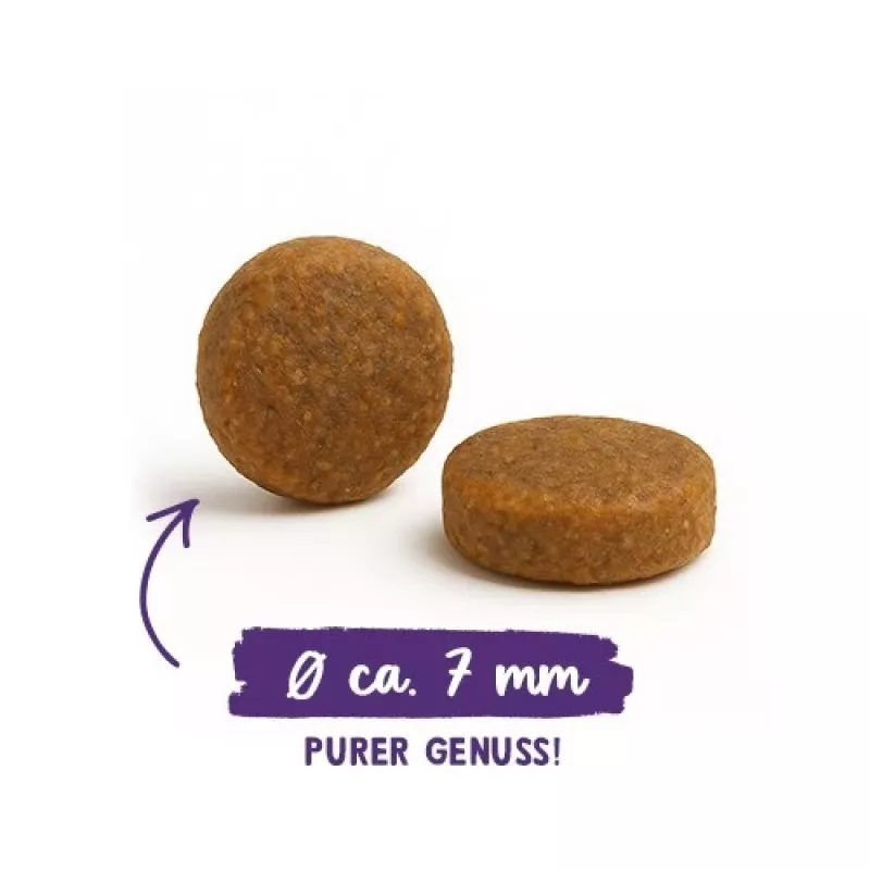 BOSCH Sanabelle Adult Ostrich & Blueberries - ração seca para gatos - 2kg