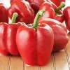 PNOS pimento Ozarowska sementes revestidas, embalagem de 50