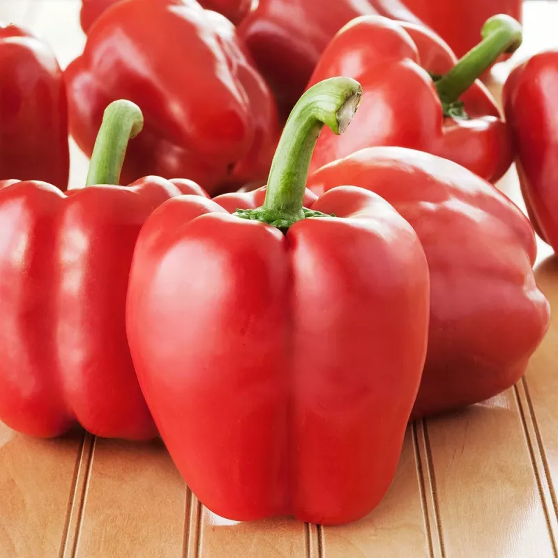 PNOS pimento Ozarowska sementes revestidas, embalagem de 50