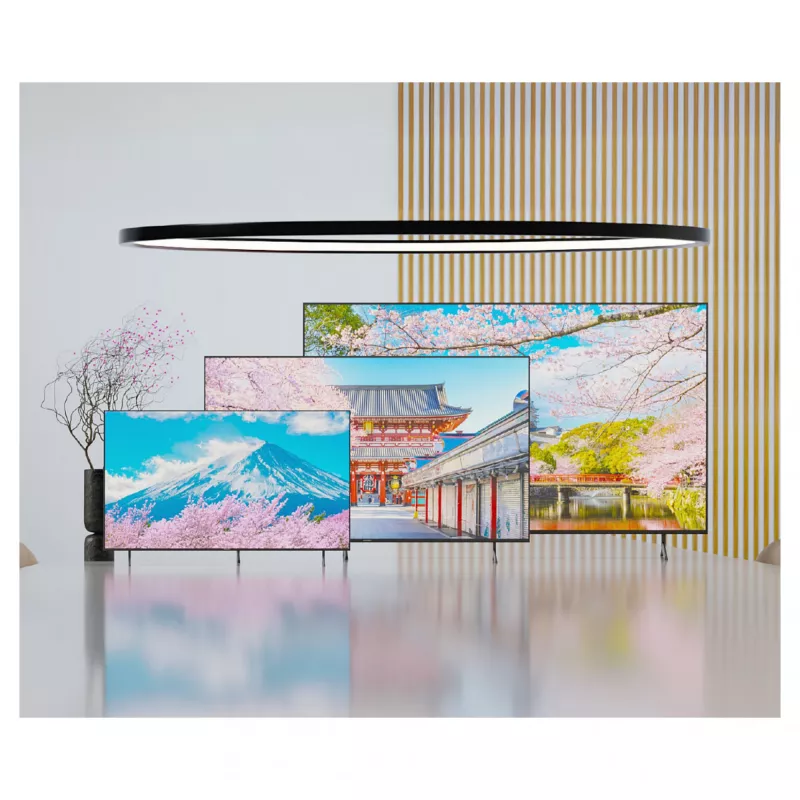 164,0cm/65 (3840x2160) JAPANNEXT JN-IPS650UHD60F 16:9 IPS 60Hz HDMI USB WLAN altifalantes preto