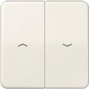Tecla JUNG para interruptor/pulsador Jal. CD595P CD500 branco CD595P (CD595P)