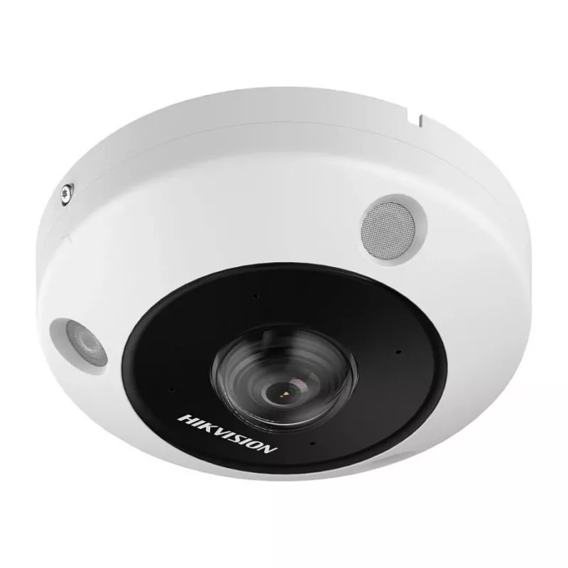 Câmara de vigilância IP Hikvision DS-2CD6365G1-IVS(1.16mm) 2560 x 2560 píxeis