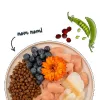 BOSCH Sanabelle Adult Forelle & Blaubeeren - ração seca para gatos - 2 kg