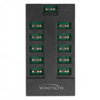 Delock - hub de luz LED RGB - 10 portas - preto (64128)