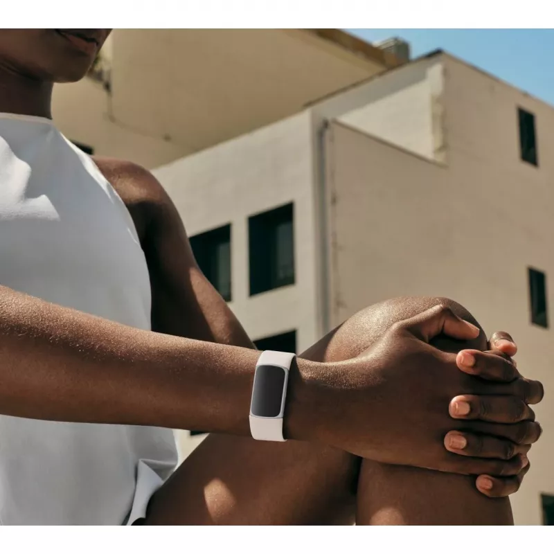 Fitbit GA05185-EU Produto Prateado