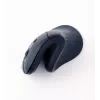 Gembird MUSW-ERGO-03 Rato Casa Destro RF Sem fios Ótico 1600 DPI