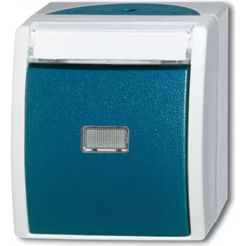 BUSCH-JAEGER botão/interruptor 2621WN-53-201 azul oceano 2pol. com placa de identificação 2621WN-53-201 (1484-0-0373)
