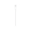 Cabo Apple Lightning para USB 1 m MUQW3ZM/A