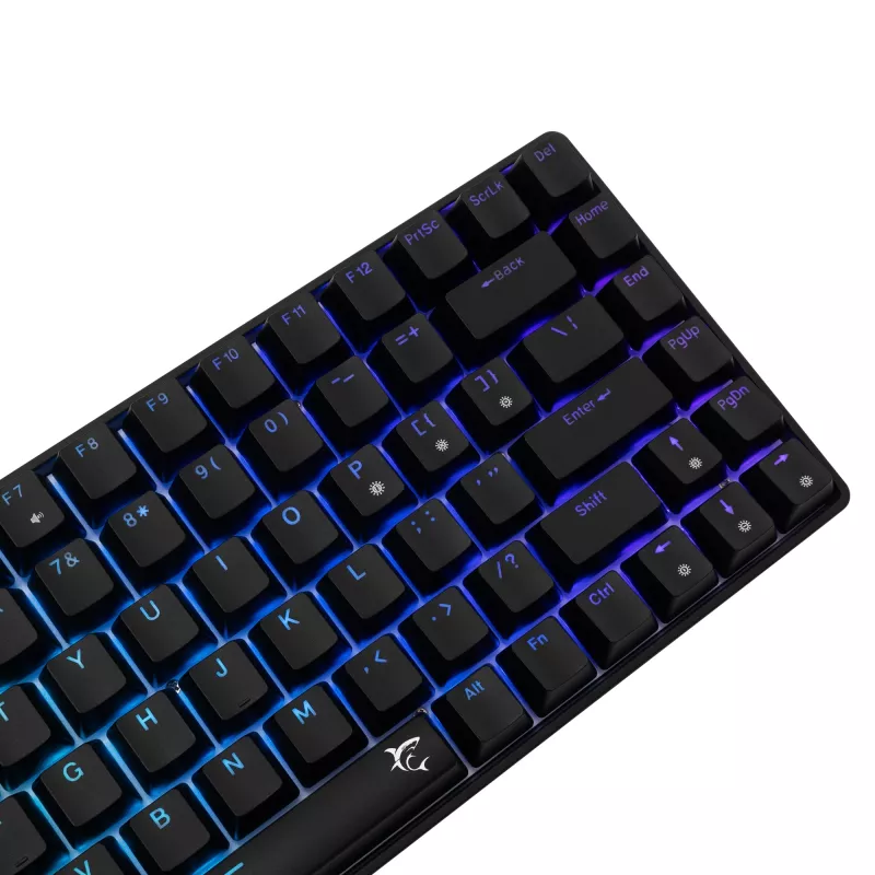 Teclado mecânico White Shark GK-005121 com iluminação RGB e switches azuis