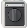 GIRA 015430 Interruptor elétrico preto - cinzento (015430)