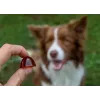 Suplemento alimentar para cães pequenos CONTIPRO GELOREN Small Dog Joints 180 g suporte articular à base de gelatina em saqueta