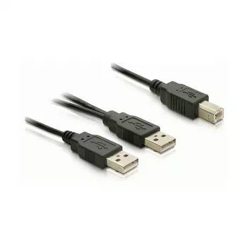 Cabo DELOCK USB 2.0 B -> USB-A Power + Power/Data