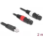 Cabo de áudio DeLOCK 88176 2 m RJ-45 2 x XLR 3 pinos preto