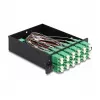 Cassete DeLOCK Fiber Optic HD MPO macho para 12 x LC duplex fêmea 24 fibras monomodo 9/125 µm