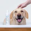 Champô hipoalergénico VETEXPERT 250 ml para cães e gatos — purificante, todos os tipos de pelagem, todas as idades