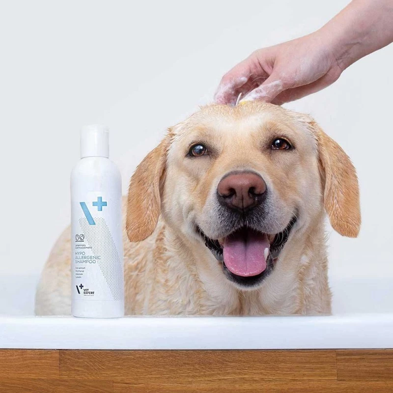 Champô hipoalergénico VETEXPERT 250 ml para cães e gatos — purificante, todos os tipos de pelagem, todas as idades