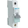 Disjuntor Hager MBN113 (MBN113)