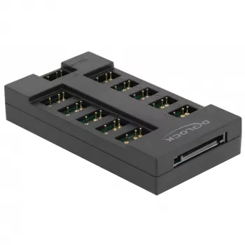 Delock - hub de luz LED RGB - 10 portas - preto (64128)