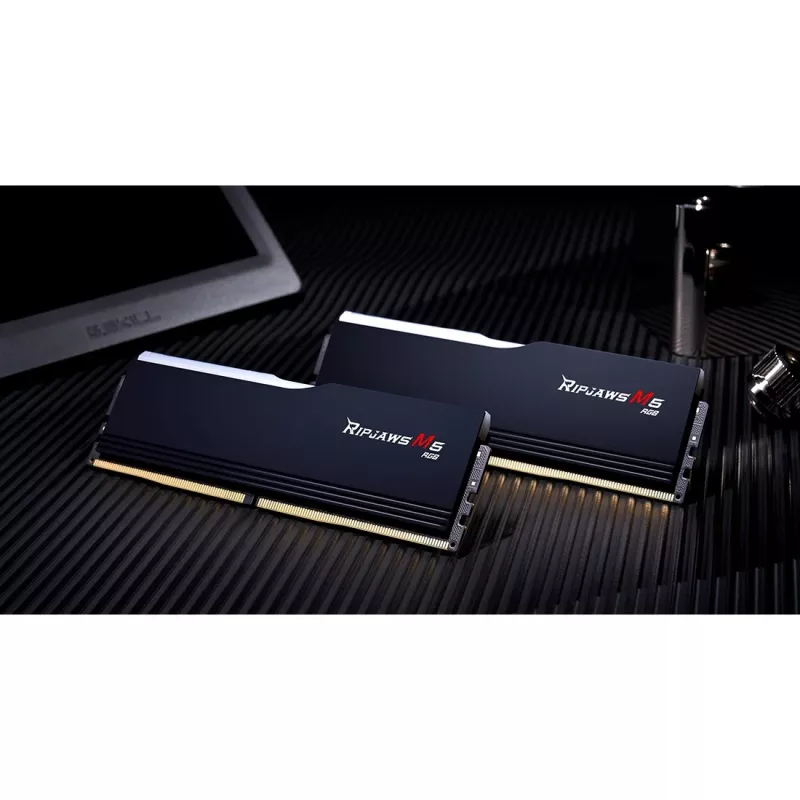 DIMM 48 GB DDR5-5200 (2x 24 GB) Dual-Kit, memória preta, F5-5200J4040A24GX2-RM5RK, Ripjaws M5, INTEL XMP