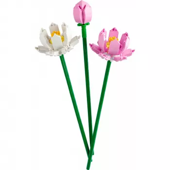 Conjunto de construção LEGO LEGO 40647 Lotus Flowers — modelo modular da Botanical Collection, 220 peças, altura 300 mm, idade 8+