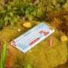 Teclado Gaming VGN V98 Pro, Box Autumn - Maple Sugar Limited Edition (US)