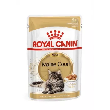 ROYAL CANIN FBN Maine Coon - Comida húmida para gatos - Saqueta 12x 85g