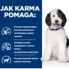 HILL'S PD Canine Urinary Care C/D - alimento húmido para cães - 370 g