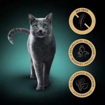SHEBA Nature's Collection sabores de aves em geleia - alimento húmido para gatos - 40 x 85g