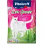 Sementes de erva para gatos Vitakraft 50 g — mistura de plantas comestíveis para gatos, saco de 50 g, ajuda à digestão e à eliminação de bolas de pelo
