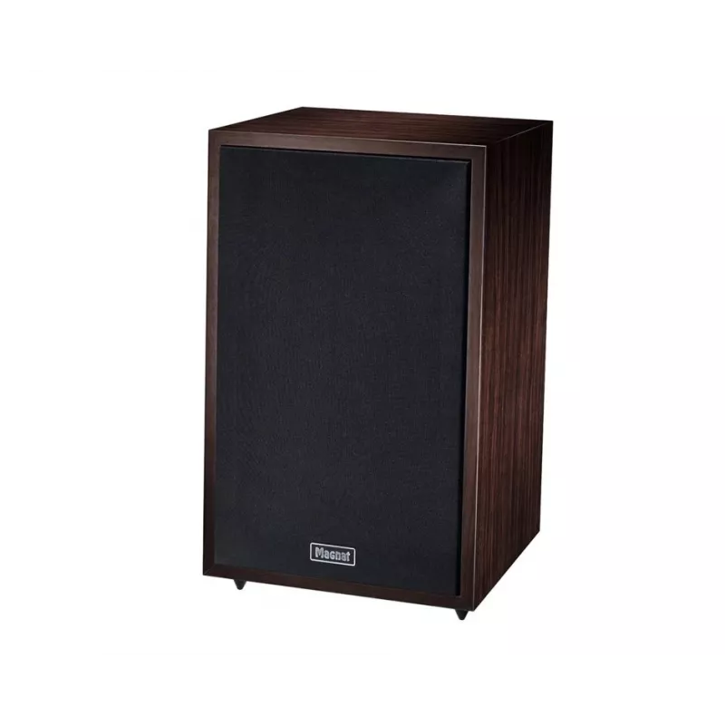 Coluna de chão Magnat TRANSPULS 800A, 2 vias com fios e sem fios, 2×60 W, Bluetooth 5.0, HDMI, preto/castanho