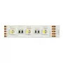Synergy 21 LED Flex Strip 5050 - 60 RGB DC24V + RGB-W one chip nw IP20
