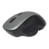 Rato ótico Gembird MUSW-6B-02-BG USB