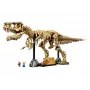 LEGO Esqueletos de dinossauros Tyrannosaurus 76968 conjunto de construção – modelo de esqueleto de T. rex para construir
