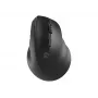Rato ótico sem fios NATEC CRAKE 2 — Bluetooth 5.2, 2400 DPI, 6 botões, para destros, preto