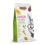 Ração em pellets para coelhos Alegia Junior Natural 650 g — alimento completo para coelhos jovens, sem cereais, sem glúten, sem soja