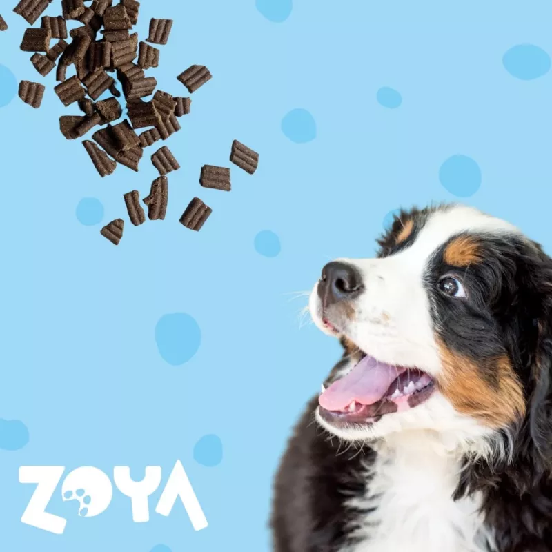ZOYA ColdPRO ração seca para cães com pato, 9 kg