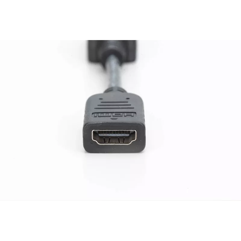 Adaptador / conversor DisplayPort Digitus