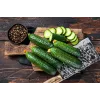 Sementes de pepino Polan F1 PNOS em fita, fita de 6 m