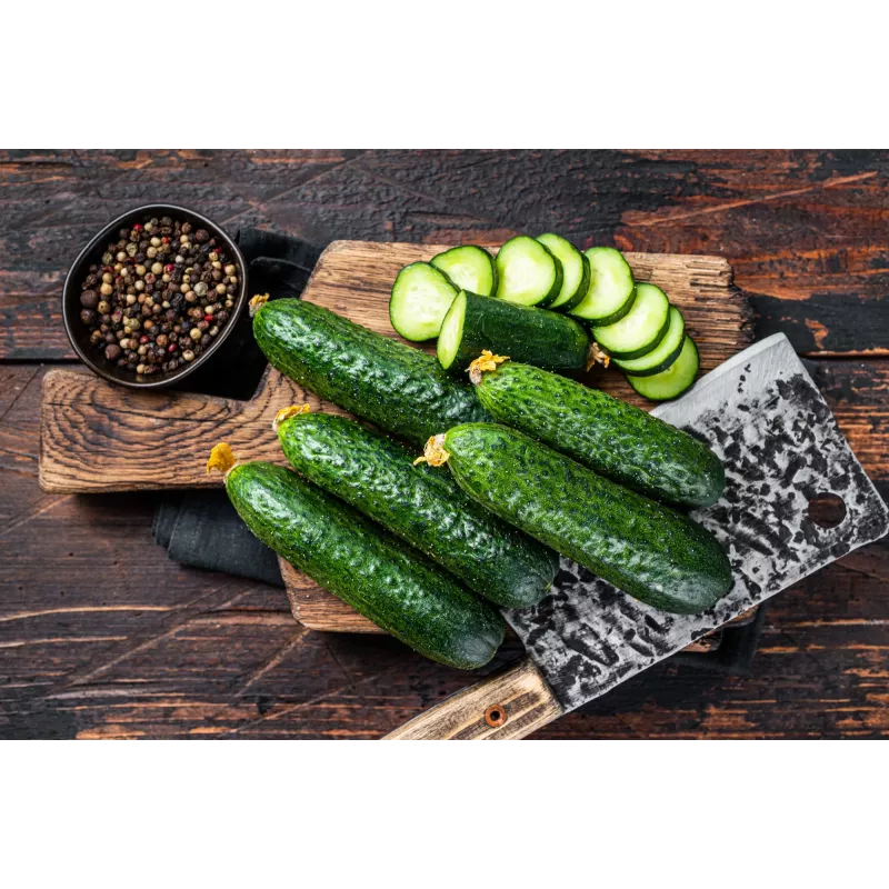 Sementes de pepino Polan F1 PNOS em fita, fita de 6 m