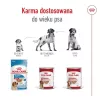 ROYAL CANIN SHN Medium Adult pão lata 410 g