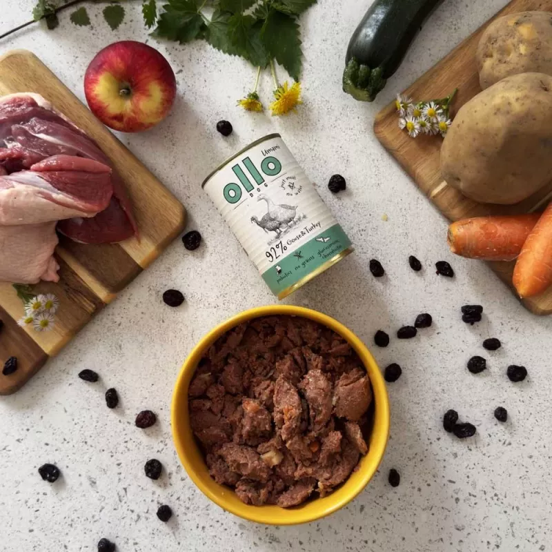 OLLO Umami ganso e peru - Ração húmida para cães - 850 g