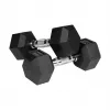 Halteres de ferro fundido com revestimento de borracha REBEL ACTIVE 2x8 kg