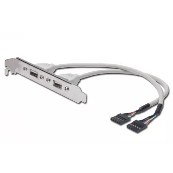 Cabo com chapa de slot USB Digitus AK-300301-002-E