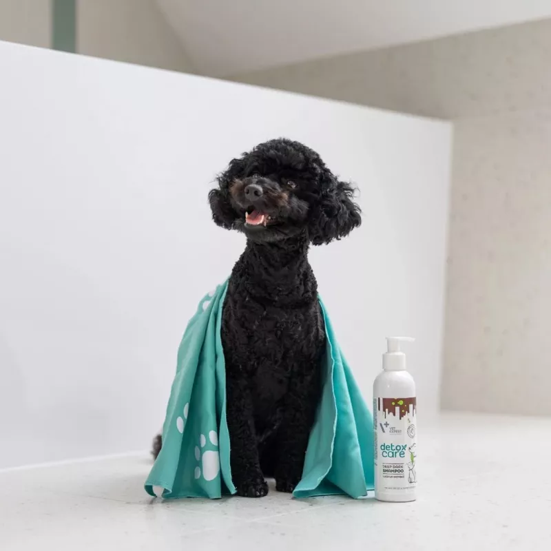 VetExpert Detox Care Deep Dark champô para cães e gatos, 250 ml