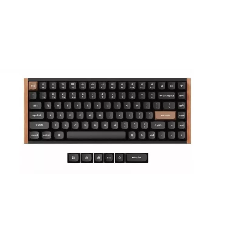 Teclado mecânico sem fios Keychron K2 Special Edition — layout compacto 75 %, retroiluminação RGB, preto, modelo K2H-F1