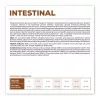 VET EXPERT Veterinary Diet Intestinal Dog - Alimento seco para cães - 2 kg
